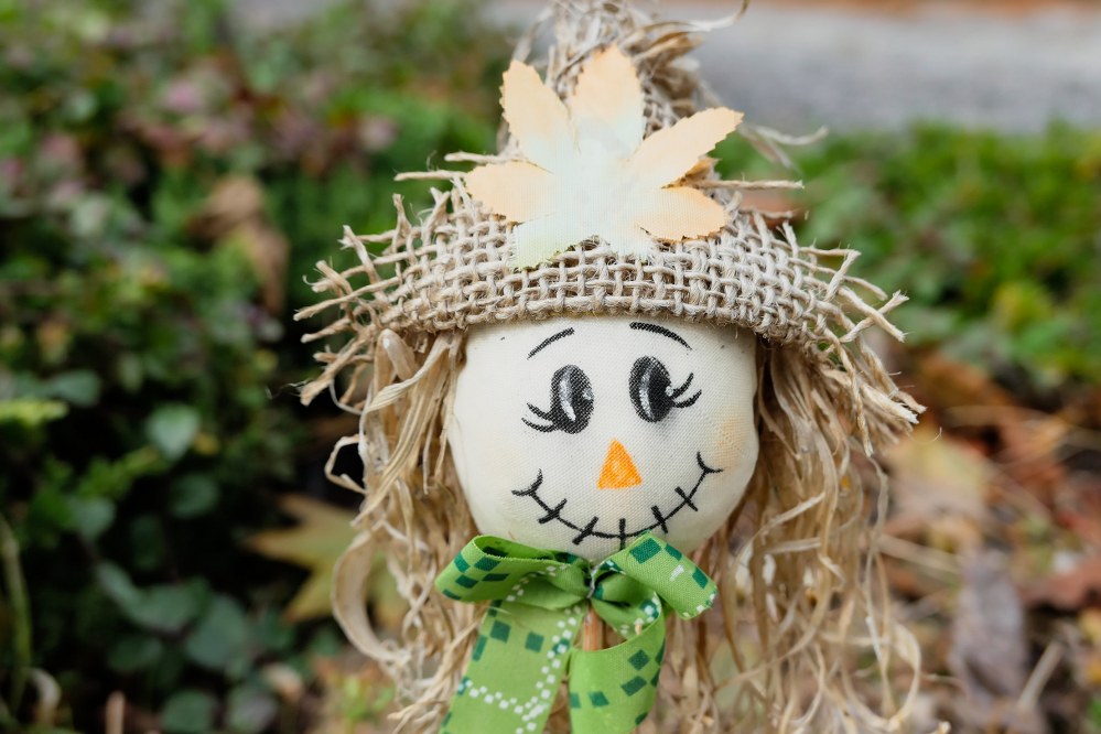 vegetable garden - scarecrow