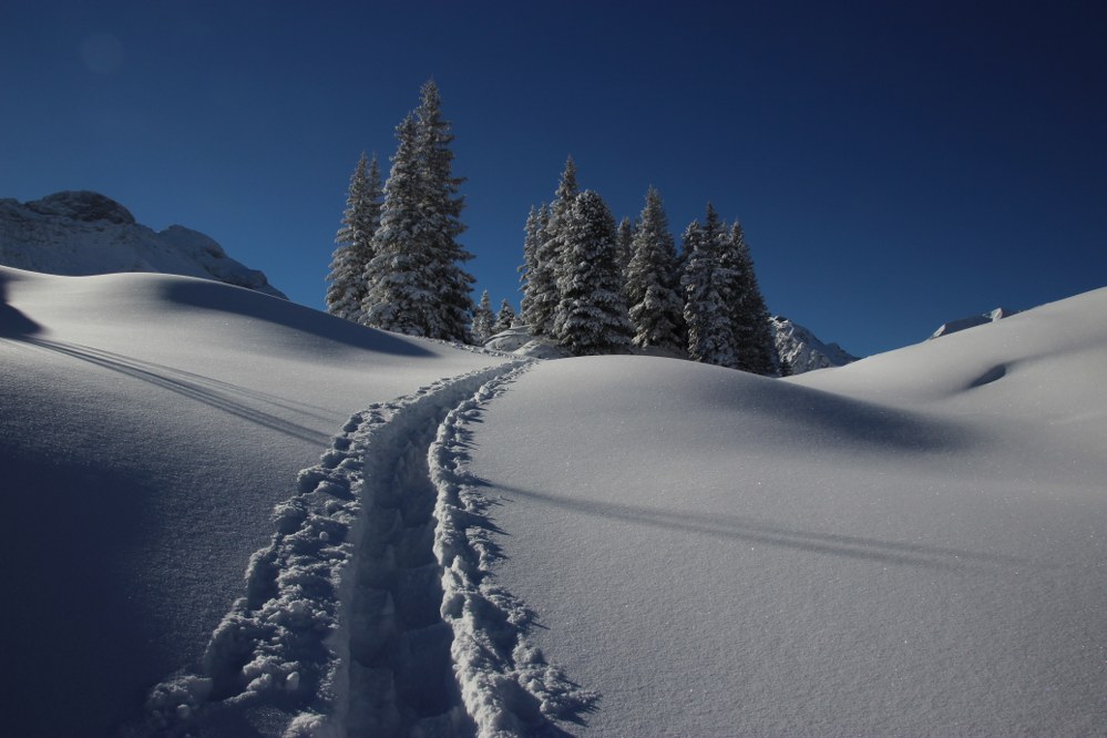 snow tracks in winter landscape in Austria
