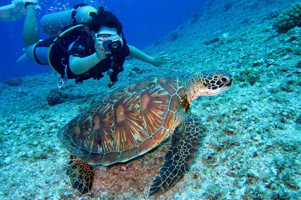 dream holiday - diving Great Barrier Reef