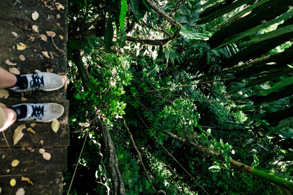 high rope garden in Ziller Valley