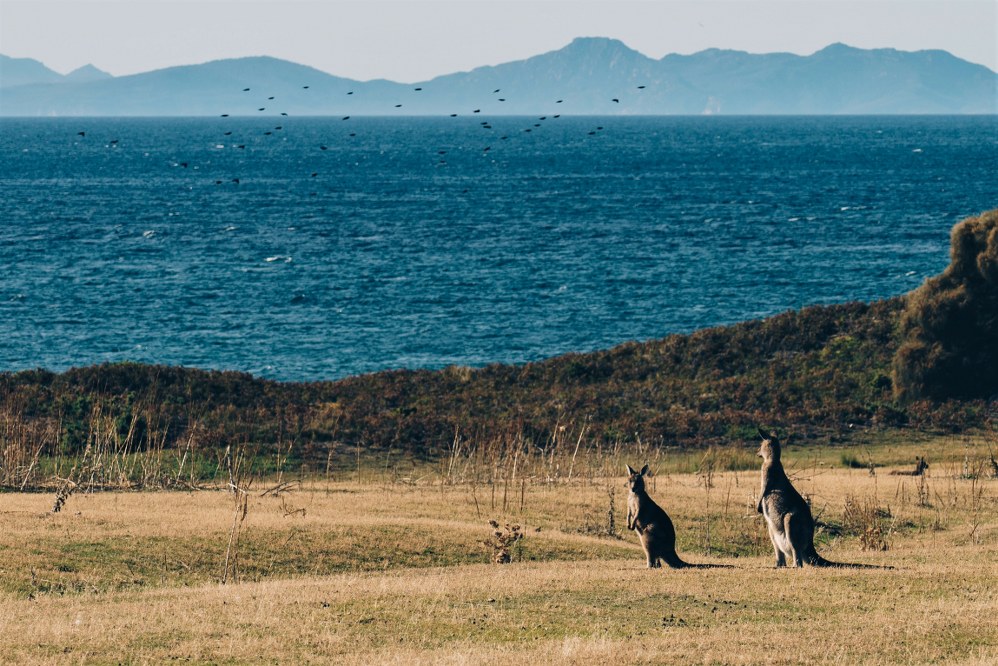 Maria Island, TAS.