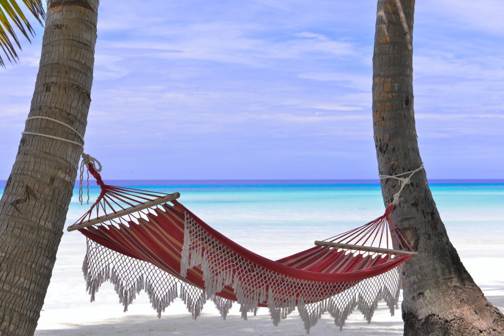 hammock with beach in backgroundiday