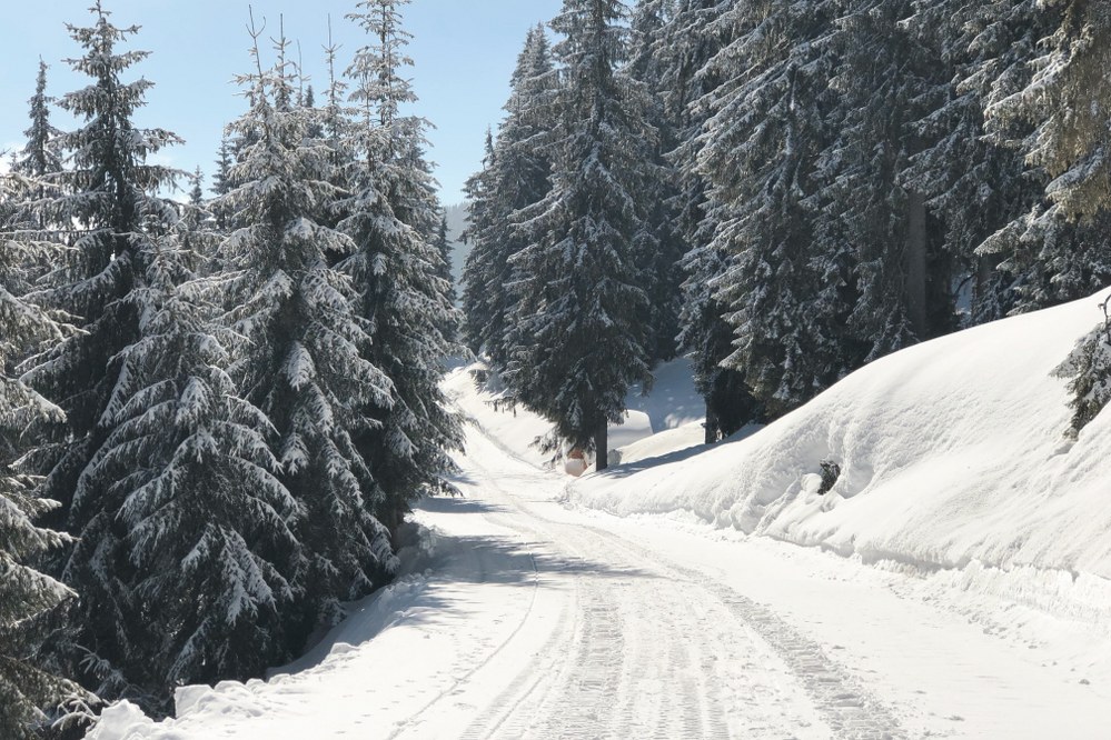 Ellmau, Wilder Kaiser, Austria