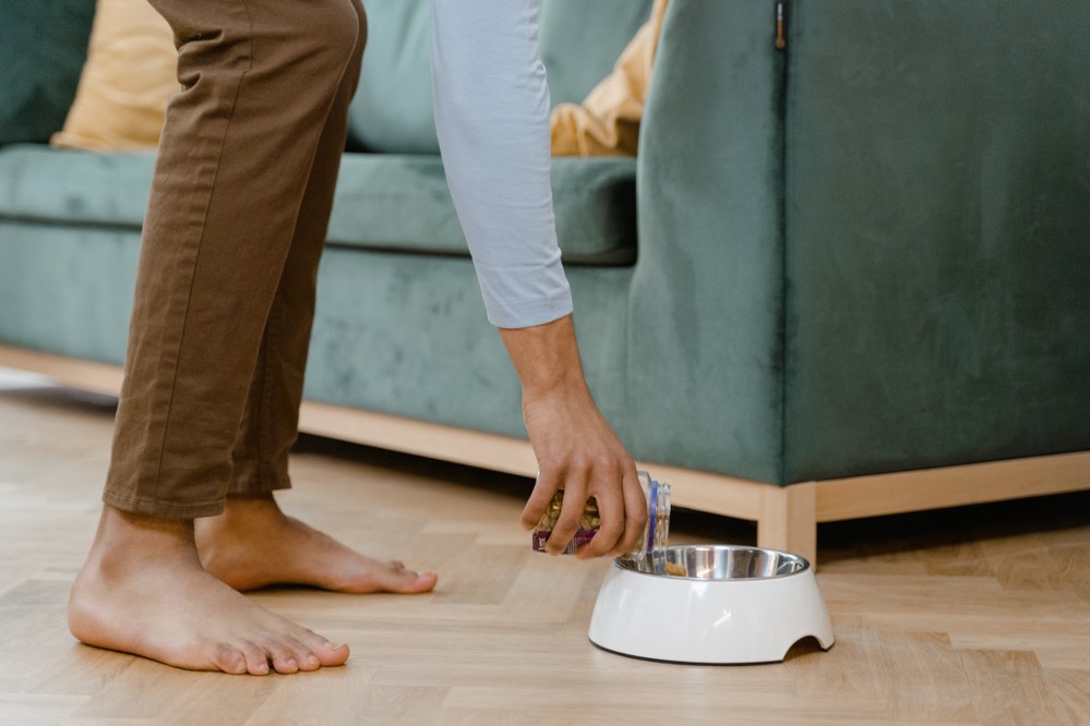 man putting dog food in bowl