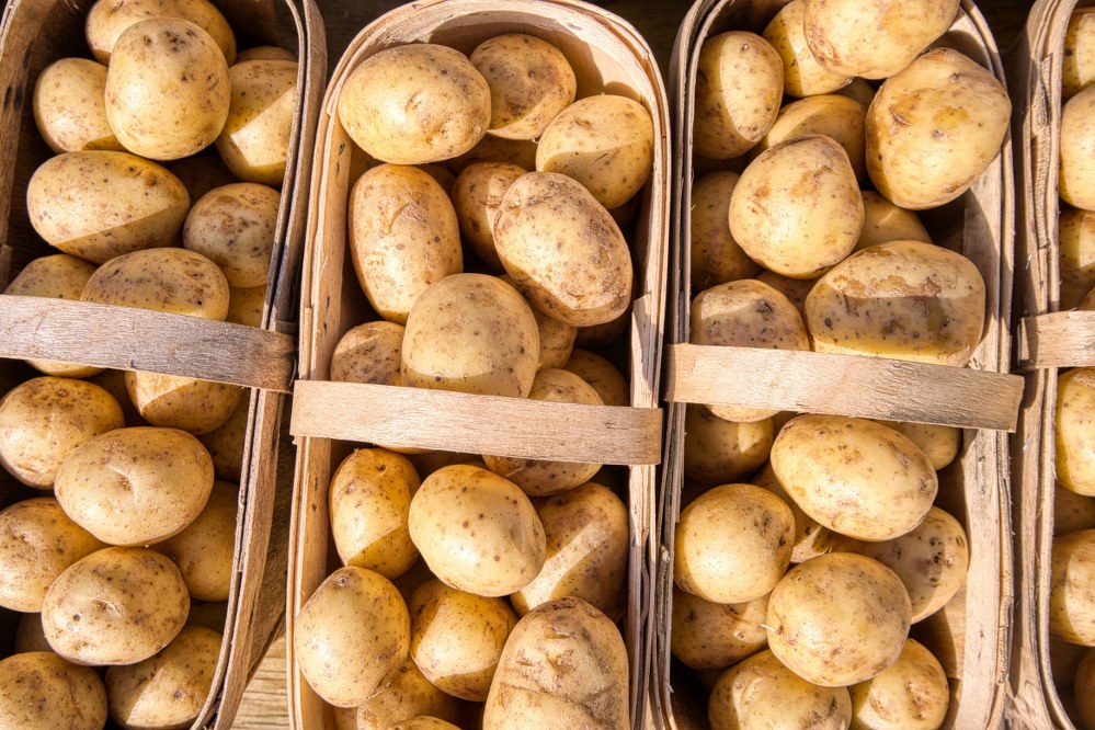 potatoes