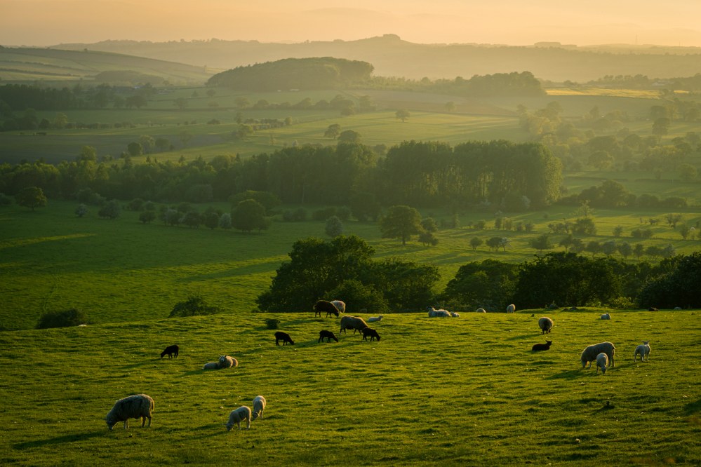 Things to do around the Tees Valley