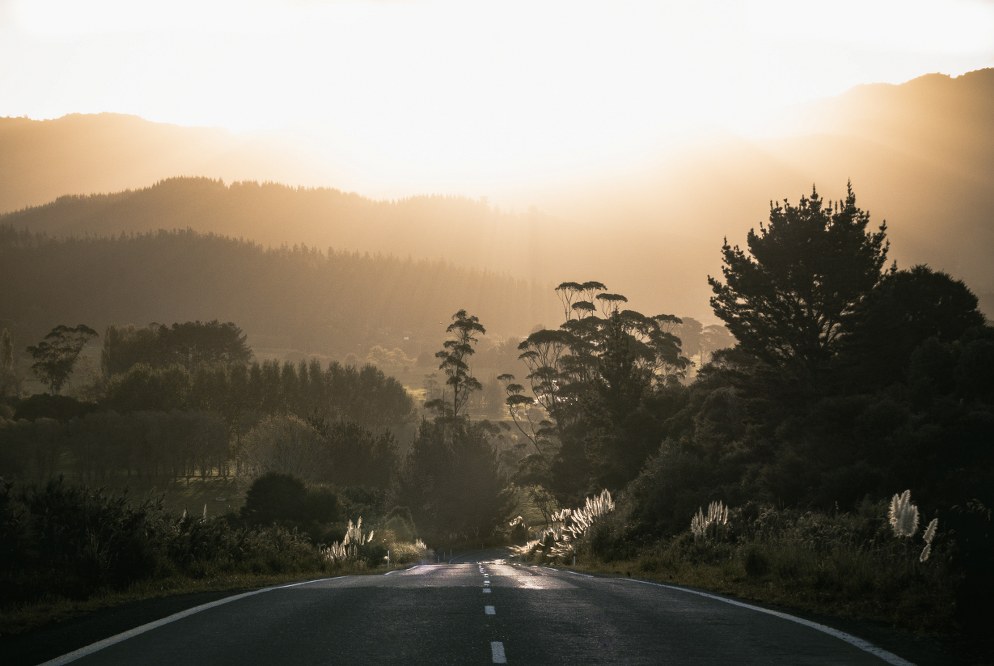 road in New Zealand