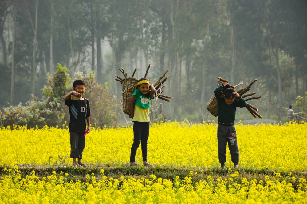 children working on fields in Asia